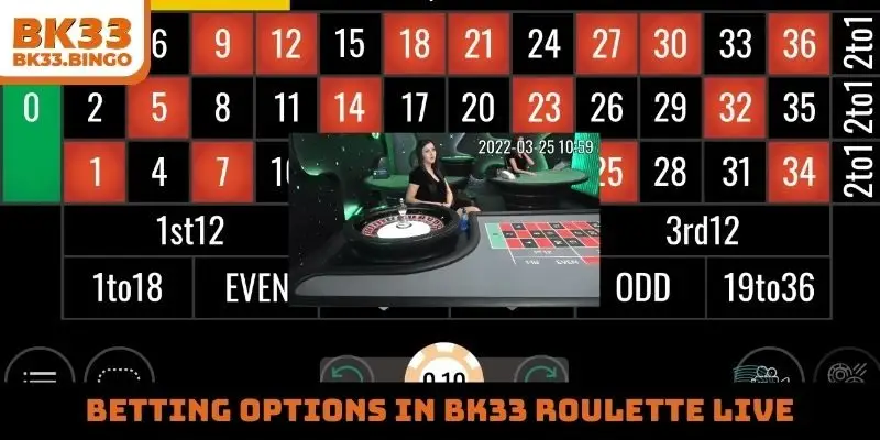 Betting options in BK33 roulette live
