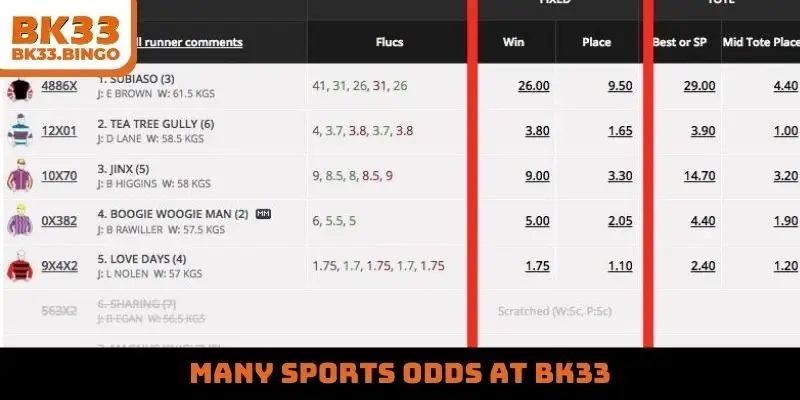 Many sports odds at BK33