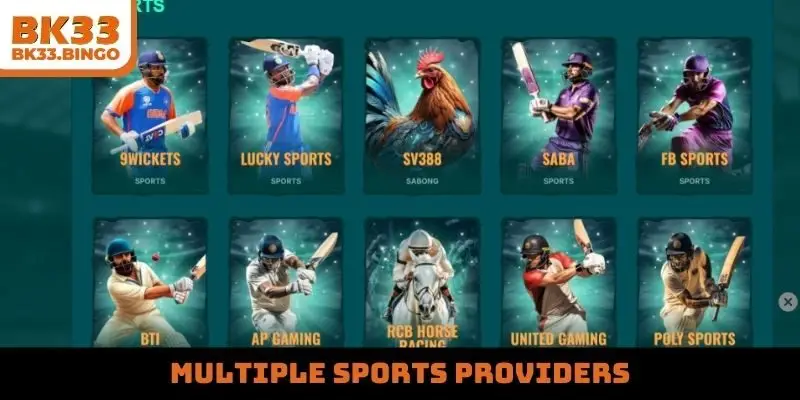 Multiple sports providers